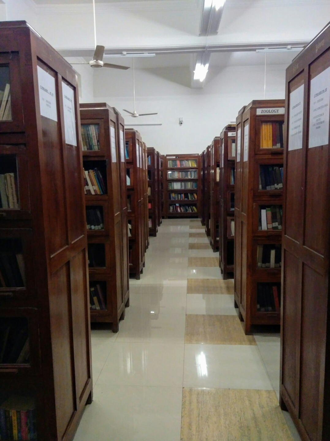 Archive shelves filled with books and folders
